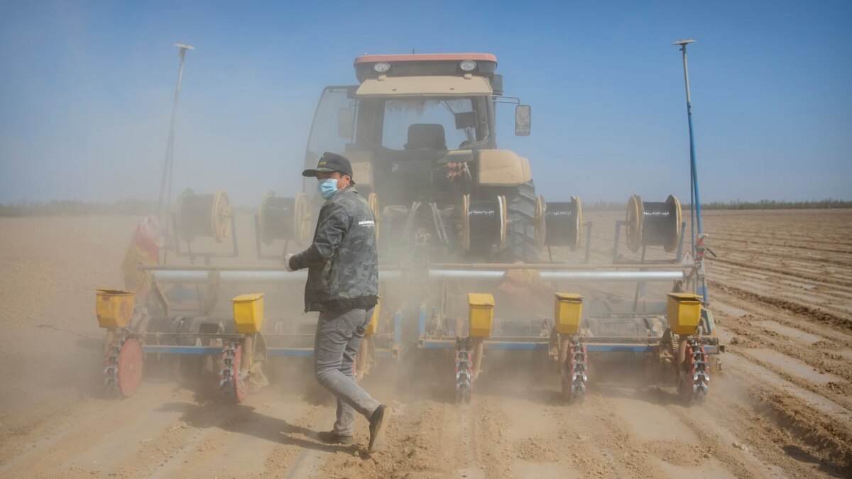 欧盟出台禁用强迫劳动产品提案,专家指其针对中国