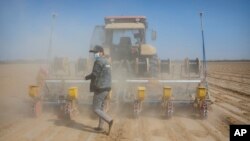 2021年4月21日新疆維吾爾自治區烏魯木齊附近一名工人在棉田裡播種