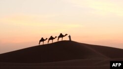 Seorang laki-laki menggiring untanya melintasi bagian selatan Gurun Sahara (16/3/2014). Penelitian mendapati bahwa debu dari Gurun Sahara ikut membentuk Kepulauan Karibia. 