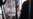 US Inspector Questions Top Ghani Aide on Corruption, Collapse of Afghan Government