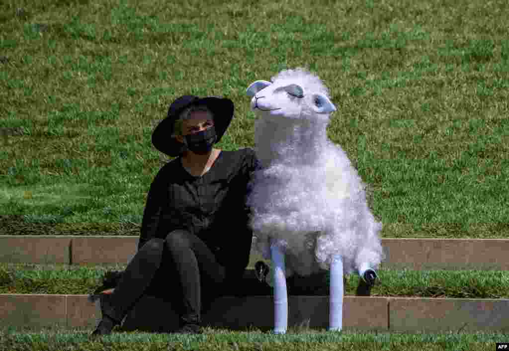 A Basil Twist&#39;s puppeteer sits with a sheep puppet prior to a New York Philharmonic performance at Hearst Plaza at Lincoln Center, April 7, 2021 in New York City.