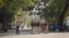 Indian police officers stand on a deserted street during an eleven hour general strike called by student organizations in Guwahati, India, Jan. 8, 2019, protesting a new citizenship bill.