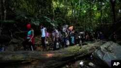 Para kelompok migran, yang didominasi oleh warga Haiti, berjalan menuju ke arah utara melewati area hutan Celah Darien (Darien Gap) di Kolombia, pada 15 September 2021. (Foto: AP/Fernando Vergara)