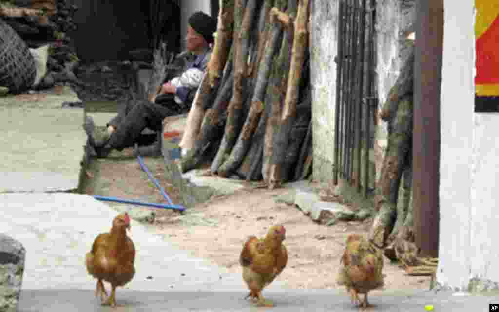 彝海乡的村民及民居