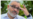 Ordenan captura del expresidente de El Salvador, Mauricio Funes
