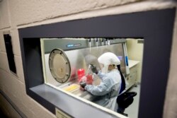 FILE - In this March 19, 2020, photo, laboratory scientist Andrea Luquette cultures coronavirus to prepare for testing at U.S. Army Medical Research and Development Command at Fort Detrick in Frederick, Md.