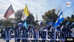 Miembros de la diáspora nicaragüense en Washington marchan desde la OEA hasta la embajada de Nicaragua en Washington D.C., el día de la elecciones presidenciales en el país centroamericano, el 7 de noviembre de, 2021.