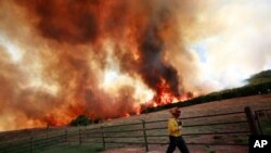Шумски пожари беснеат во Тексас
