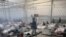 File - This March 20, 2021, photo provided by the Office of Rep. Henry Cuellar, D-Texas, shows detainees in a Customs and Border Protection (CBP) temporary overflow facility in Donna, Texas.