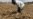 FAO Warns Southern Africa to Prepare for Drought