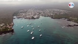 Imágenes aéreas de las islas Galápagos tomadas por un drone