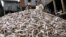 Cambodian workers collect fish which will be made into a traditional pickled fish, locally known as Prahok, at the river bank of the Tonle Sap in Chrang Chamreh during the fish harvesting season, in Phnom Penh, file photo. 