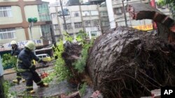태풍이 지나간 타이완 타이페이시에서 13일 경찰관이 바람에 쓰러진 나무를 제거하고 있다