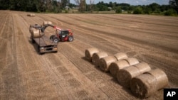 (FILE) A tractor collects straw on a field in a private farm in Zhurivka, Kyiv region, Ukraine.