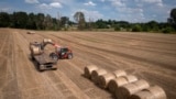 Un tractor recoge paja en un campo de una granja privada en Zhurivka, región de Kiev, Ucrania, el jueves 10 de agosto de 2023. [Foto:Archivo/AP]