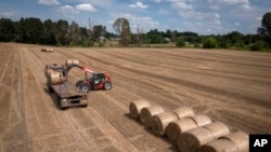 FILE - A tractor collects straw on a field in a private farm in Zhurivka, Kyiv region, Ukraine, Thursday, Aug. 10, 2023.