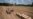 Desinformaciones sobre la industria agrícola ucraniana que han circulado desde el inicio de la invasión rusa