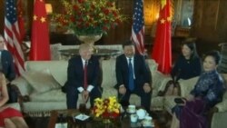 Summit SAD - Kina