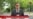 آمار جدید دولت آلمان: خروج داوطلبانه پناهجویان از اخراج‌های اجباری پیشی گرفت