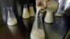 FILE - A lab technician at the Mothers' Milk Bank of New England in Newtonville, Mass., pours donated breast milk into another flask to prepare for pasteurization. Kenya will soon be getting Africa's second bank for donated breast milk. 