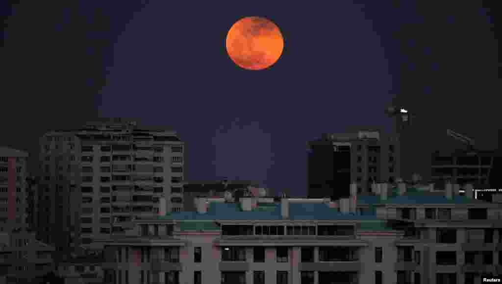 Climate change activists dressed as world leaders, are seen during a demonstration in the Clyde Canal, during the COP26 summit in Glasgow, Scotland.