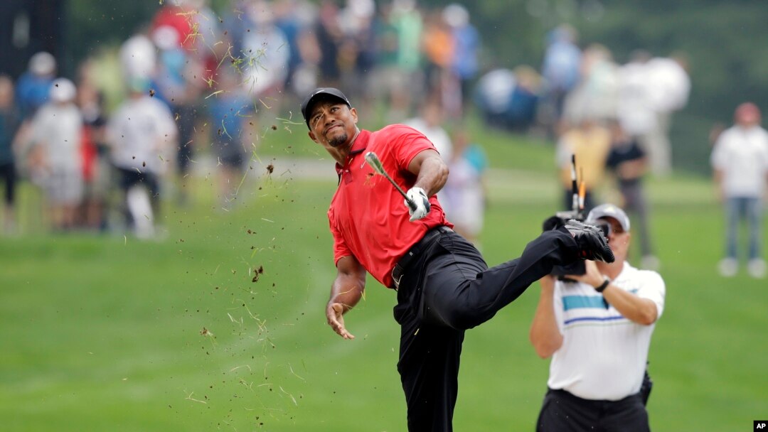 Tiger Woods saat bertanding di turnamen golf Bridgestone Invitational di Akron, Ohio, 3 Agustus 2014. (Foto:Dok)