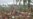 Typhoon Death Toll Continues to Rise in Philippines