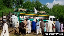 A busy day at Maiduguri's cattle market, and a truck with an apt description. (Fati Abubakar)