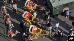 Pro-government demonstrators on horses, camels, and horse-drawn carriages near Tahrir square in Cairo, Egypt, Feb. 2, 2011.