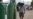 Peru Extends State of Emergency Amid COVID-19 Pandemic