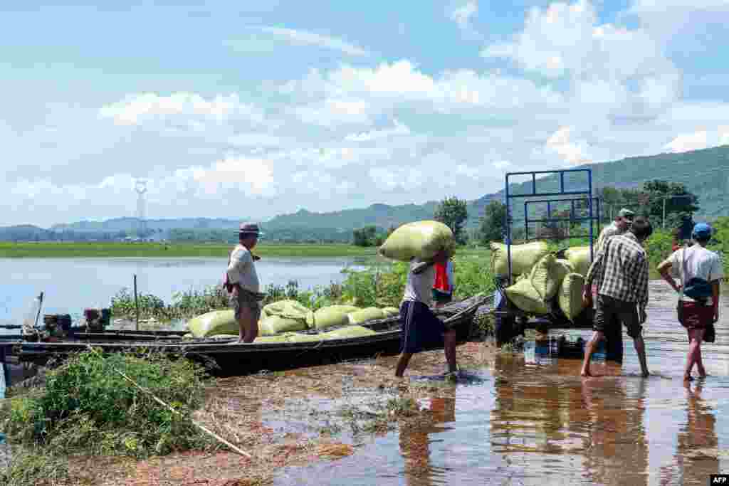 ကယားပြည်နယ် (သို့) ကရင်နီပြည်နယ် လွိုင်ကော်မြို့နယ်အတွင်းက တိုင်ဖွန်း Yagi (ရာဂီ) ကြောင့် ရေဘေးဒဏ်သင့် ဘုရားဖြူရွာမှာ ဆန်အိတ်တွေကို ထမ်းသယ်နေတဲ့ လယ်သမားများ (စက်တင်ဘာ ၁၆၊ ၂၀၂၄)