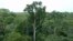 FILE - Old-growth Amazon tree canopy is seen in Tapajos National Forest, Brazil.