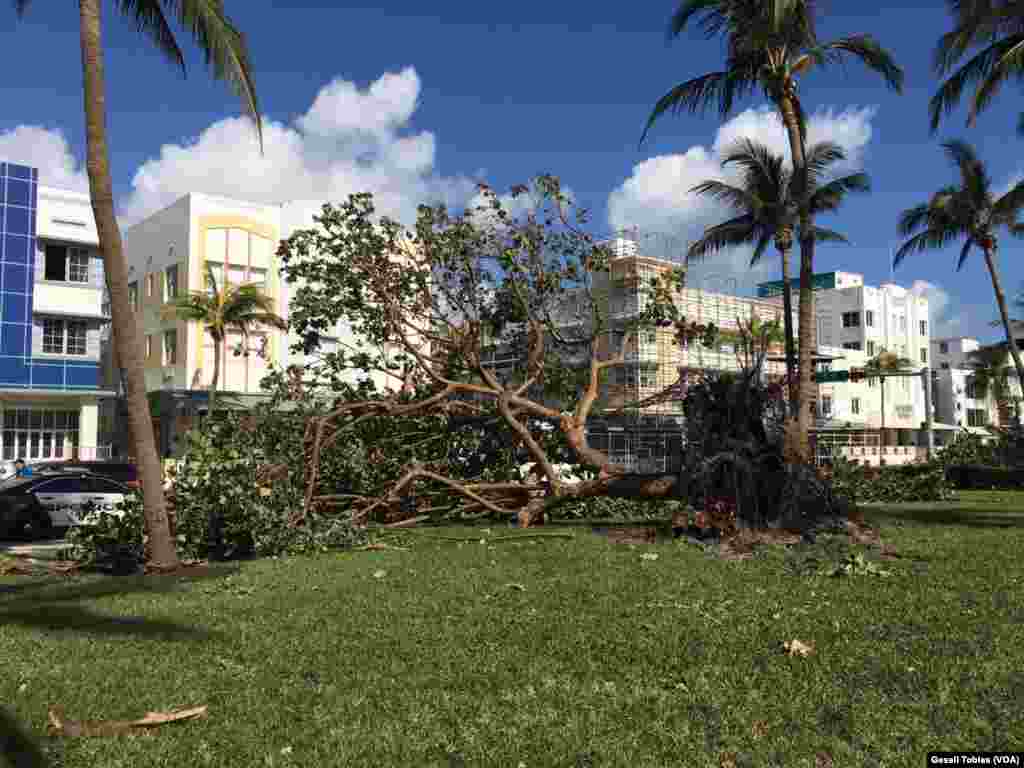 Según la Agencia Federal para el Manejo de Emergencias de Estados Unidos, el 65 por ciento de los hogares sufrieron daños mayores tras el paso de Irma.