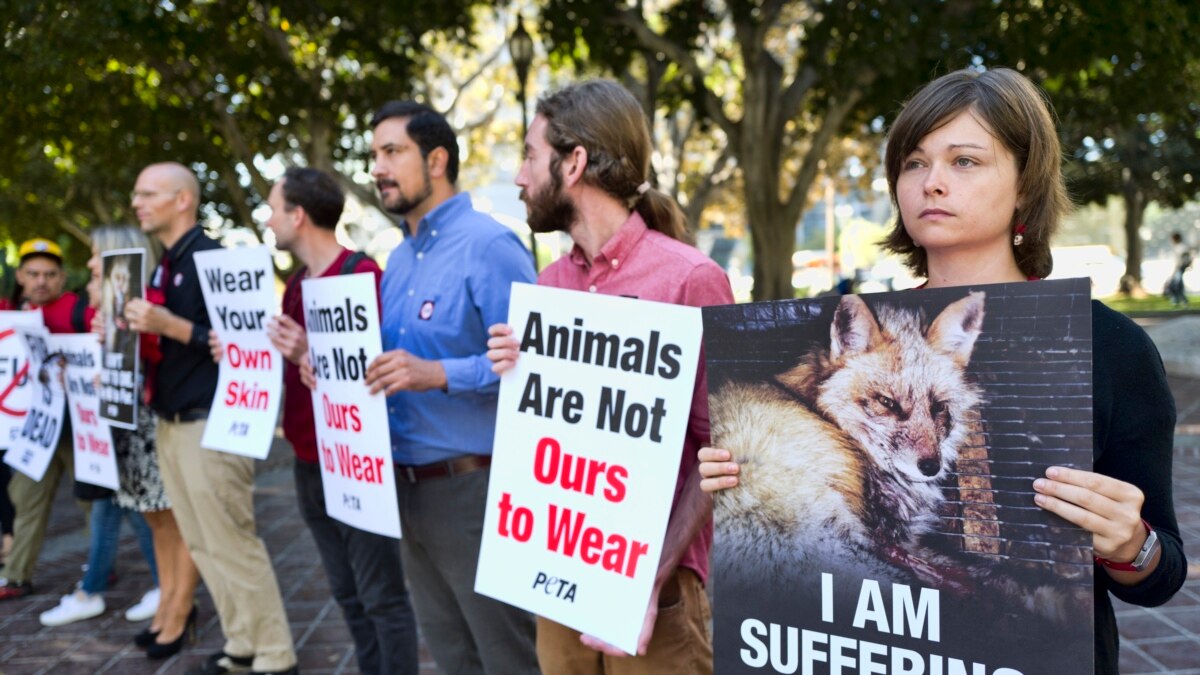 California Becomes First Us State To Ban Fur Products