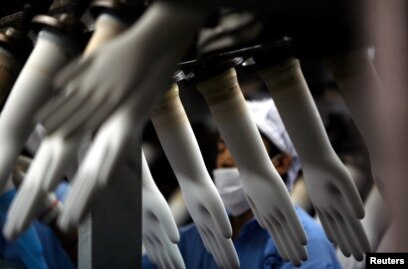 Forced Labor Rising In Malaysia S Rubber Glove Factories Study Shows