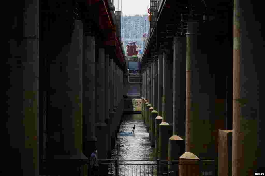 A man enjoys wakeboarding underneath a bridge at Han River in Seoul, South Korea. 