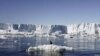 Un pingüino reposa momentáneamente sobre un trozo de hielo que se derrite en el este del Antártico.