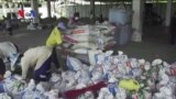 Thai Rice Farmers Struggle with Dropping Prices