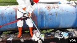 Seorang aktivis Ecoton memungut sampah popok dari pinggir jembatan sungai Surabaya di Karang Pilang. (Foto: VOA/Petrus Riski)