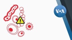 Защита от вирусных инфекций