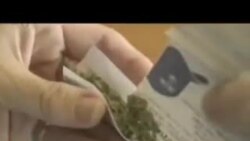 ვაშინგტონი დღეს, 10 ნოემბერი, 2013