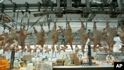 ကလေးလုပ်သား ငှားရမ်းခိုင်းစေမှု ကန်ကုမ္ပဏီကို ဒဏ်ငွေ ၁ သန်းခွဲရိုက်