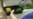 16x9 Image