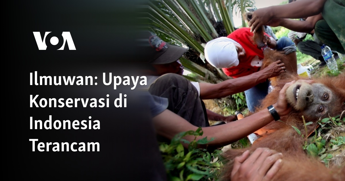 Ilmuwan: Upaya Konservasi di Indonesia Terancam