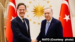 Ankara'da temaslarda bulunan NATO Genel Sekreteri Mark Rutte, Cumhurbaşkanı Erdoğan'la görüştü - 25 Kasım 2024.