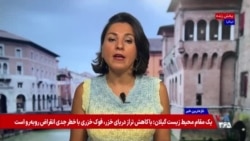 اتحادیه اروپا و ۲۶ کشور جهان اعدام معترضان در ایران را محکوم کردند