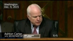 Sen. John MCain Questions US Gains Against Islamic State