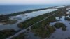 Saving Mexico’s Mangroves: Shelter from Storms and Storers of Carbon