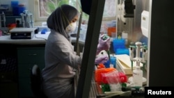 Seorang teknisi sedang menyiapkan medium untuk menumbuhkan virus di laboratorium Lembaga Biologi Molekuler Eijkman di Jakarta, 31 Agustus 2016. (Foto: Reuters)