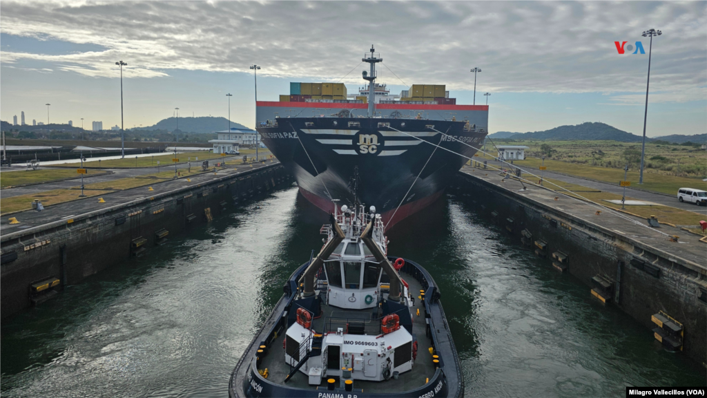 La conservación del ecosistema es vital para garantizar el futuro del Canal de Panamá, que depende de los afluentes de agua dulce para sus operaciones.